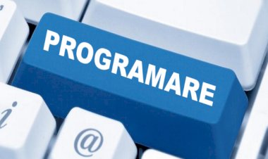 Tipuri de programări online