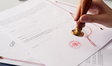 Apostila și Traduceri